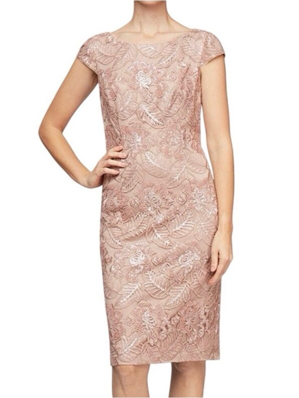 Alex Evenings Embroidered Sequin Lace